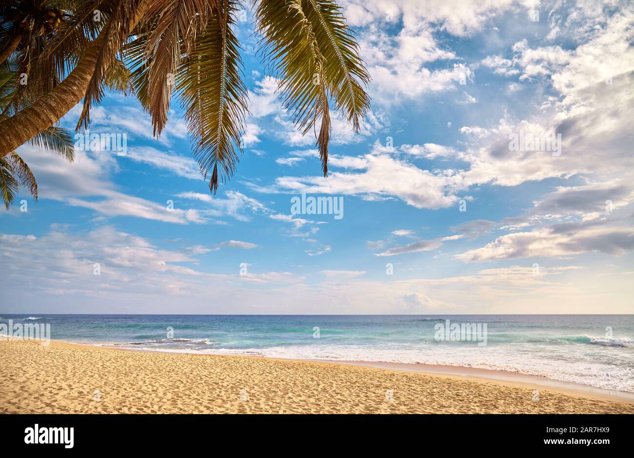 Plage tropicale avec palmier à noix de coco au coucher du soleil, concept de vacances d'été. Banque D'Images