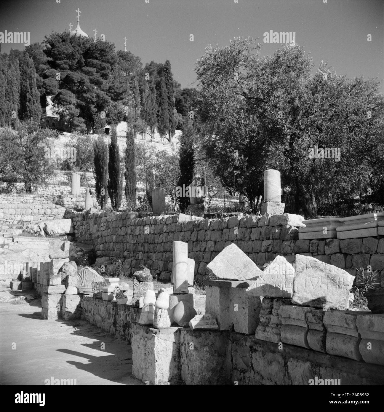 Moyen-Orient 1950-1955 : Jérusalem demeure romaine près du jardin de l'Église de l'agonie (Église de toutes les nations) également connue sous le nom d'Église de toutes les nations en face de la Cour de Gethsemane Annotation: Au moment de l'enregistrement était Jérusalem en Jordanie Date: 1950 lieu: Palestine, Jérusalem, Jordanie mots clés: arbres, églises, jardins Banque D'Images