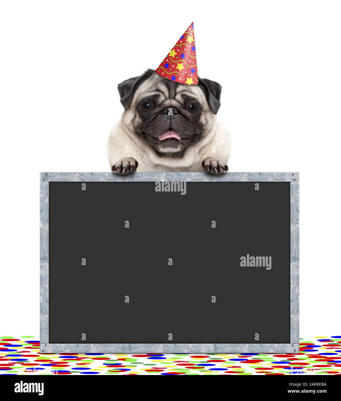 Drole Personnalise Pug Chien Holding Ballon Age 1 2 3 4 5 6 7 8 9 Drole Personnalise Pug Chien Holding Ballon Age 1 2 3 4 5 6 7 8 9