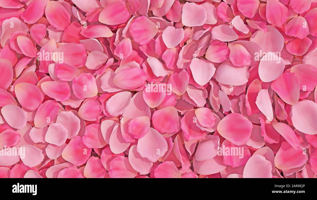 Texture d'arrière-plan de belles pétales de rose vif et délicats en pile aléatoire. Pétales de rose frais Banque D'Images
