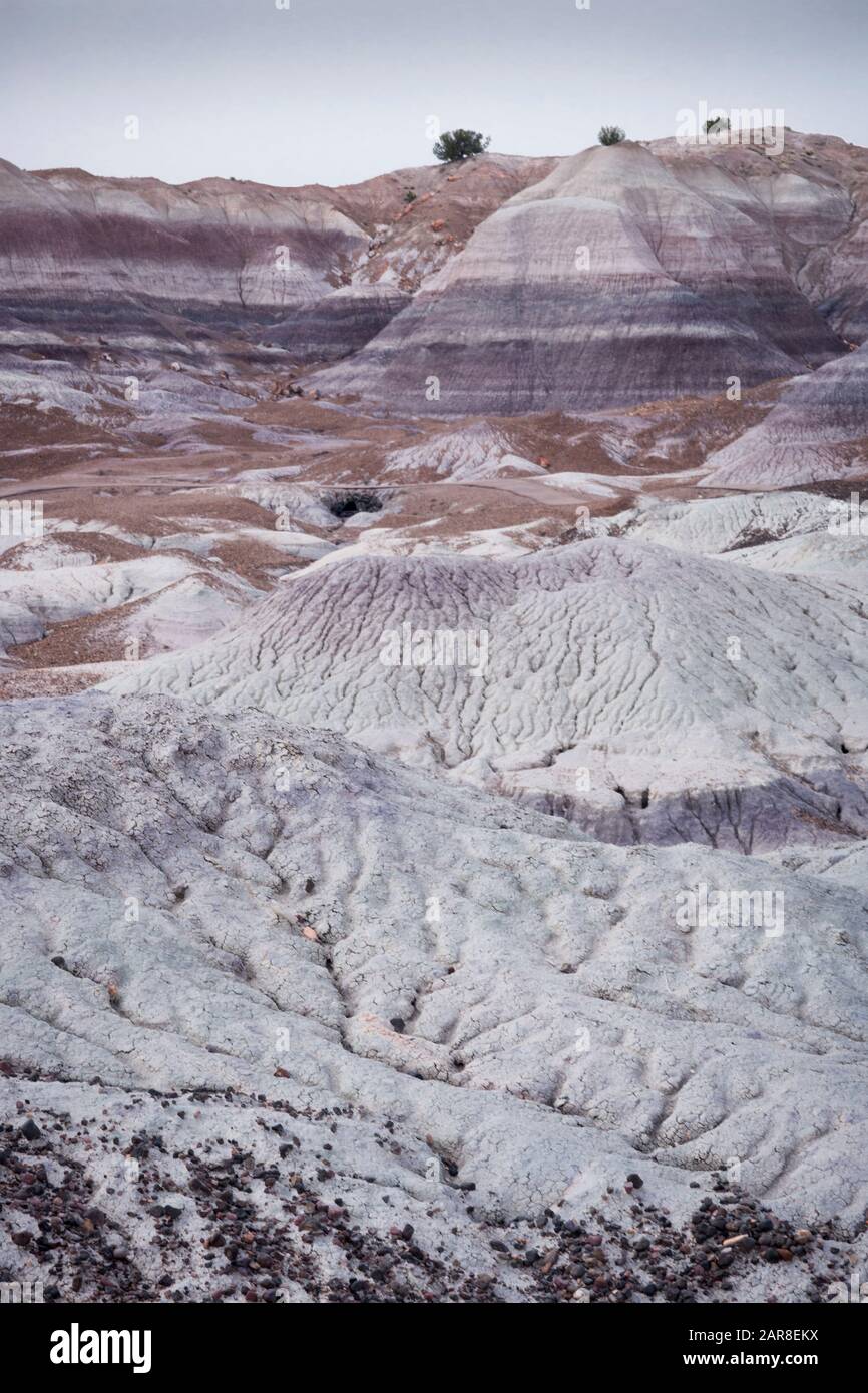 Couches sédimentaires d'argile bentonite bleuâtre dans les Blue Mesa Hills observées à partir d'un sentier pavé de randonnée de 1 mile dans le désert Peint, Arizona Banque D'Images