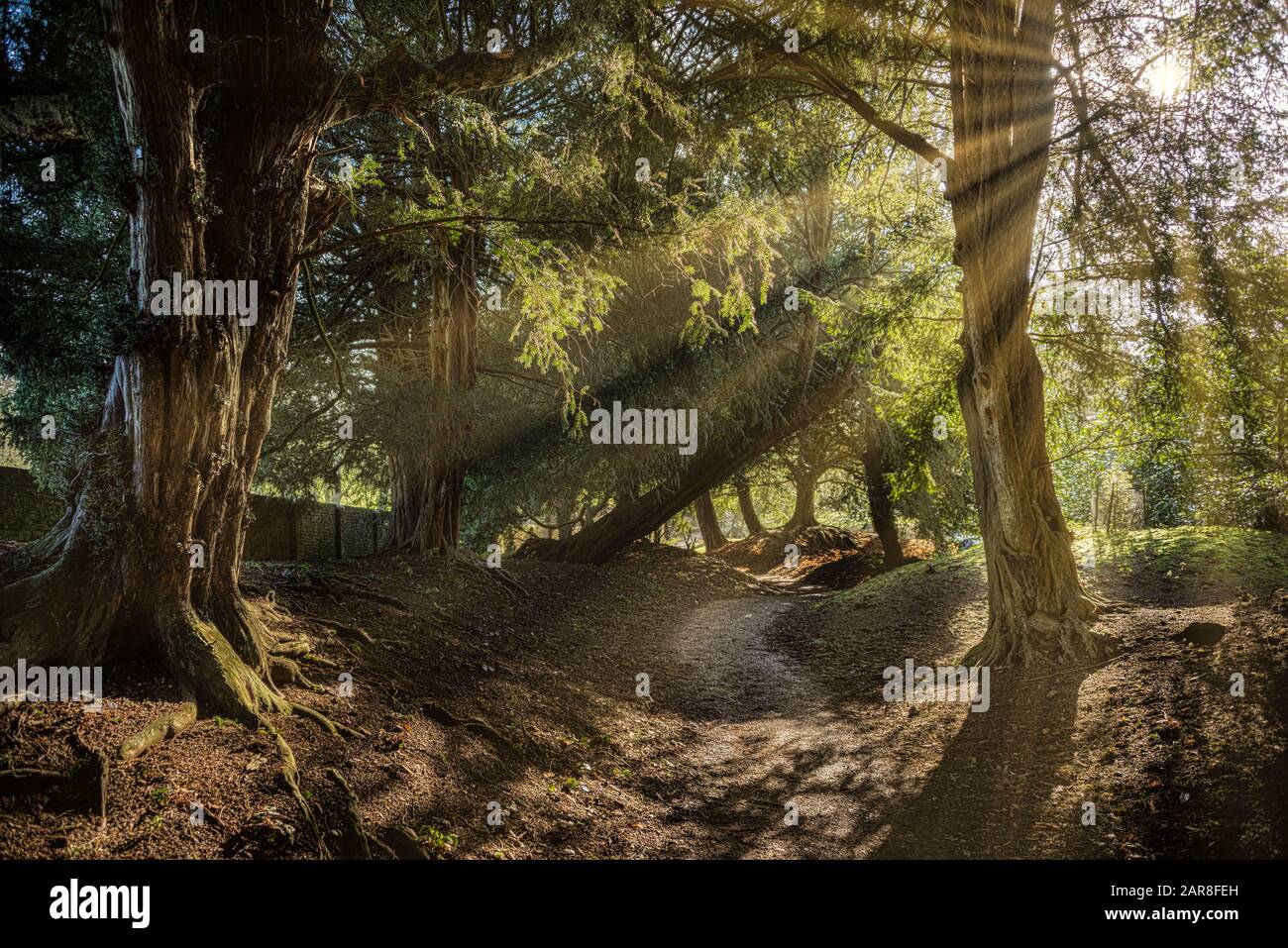 Stowe House (École) & Gardens, National Trust. Banque D'Images