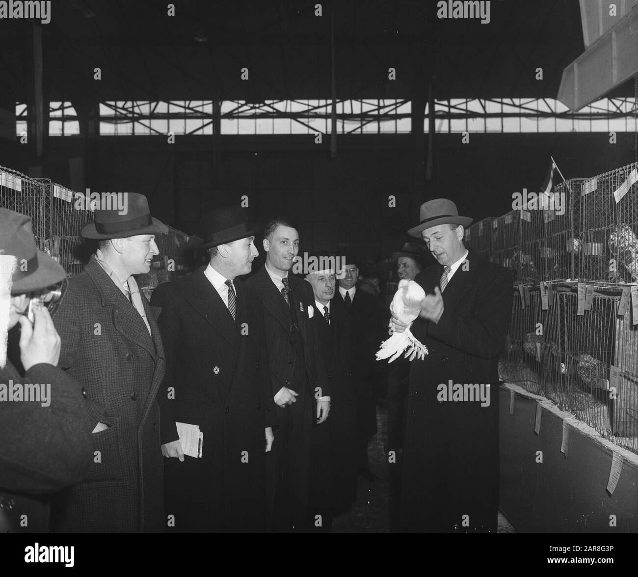 Ouverture de l'exposition sur la volaille Agricultura au ministre Houtrust Manskoet avec le premier pigeon de guerre Date : 19 janvier 1949 mots clés : ouvertures, exposition sur la volaille Nom personnel : HOUTRUST : Brand, Ben/Anefo Banque D'Images