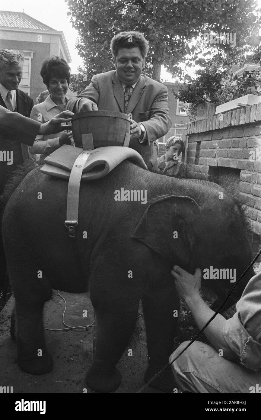 Elephant from behind Banque d'images noir et blanc - Alamy