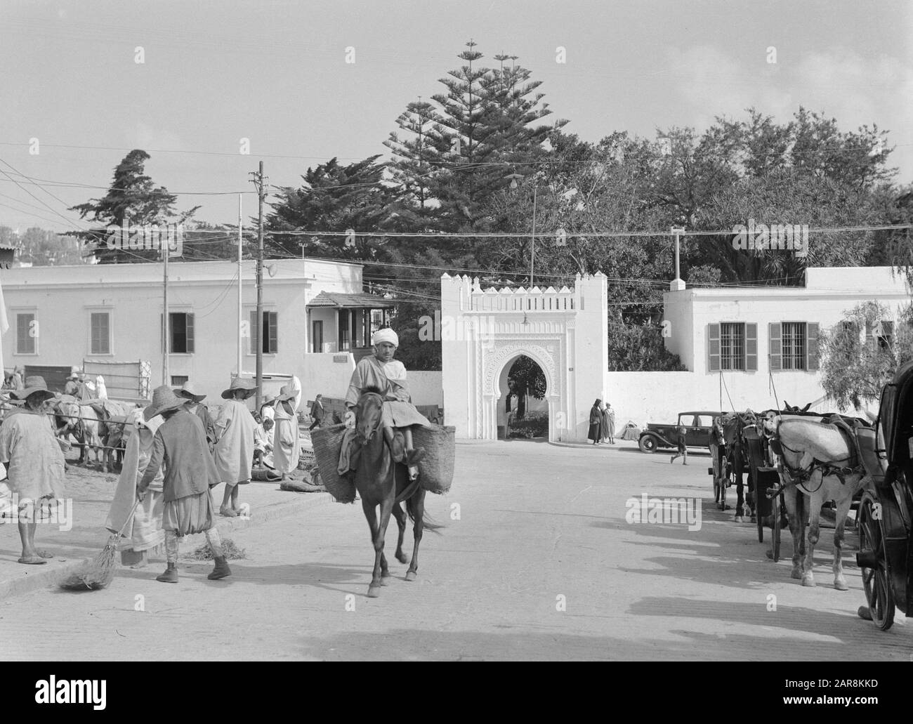 Afrique du Nord : 1935-Tanger Street statue à Tanger Date : 1935 lieu : Maroc, Tanger mots clés : chevaux, images de rue Banque D'Images