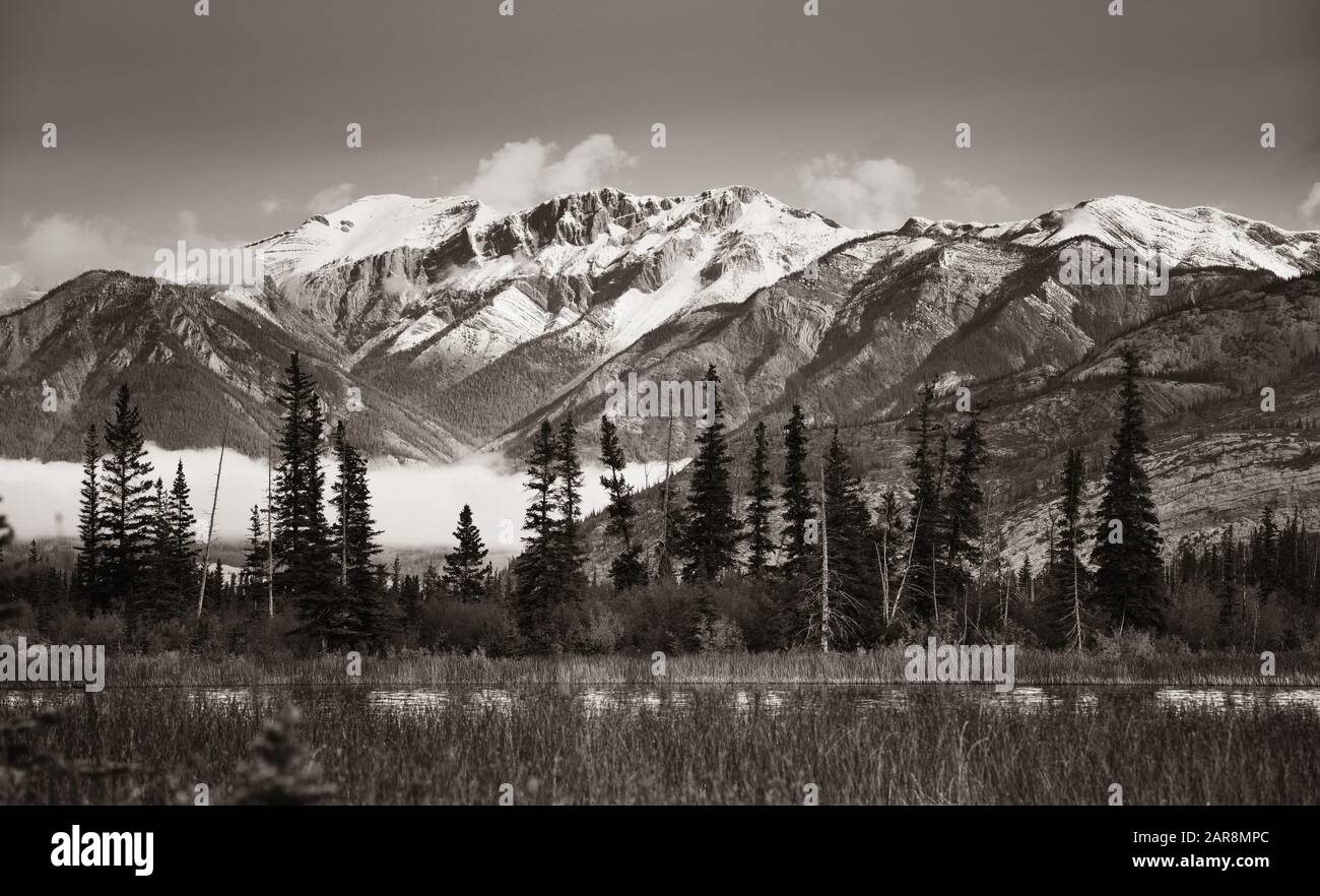 Belle scène dans le parc national Jasper au Canada Banque D'Images