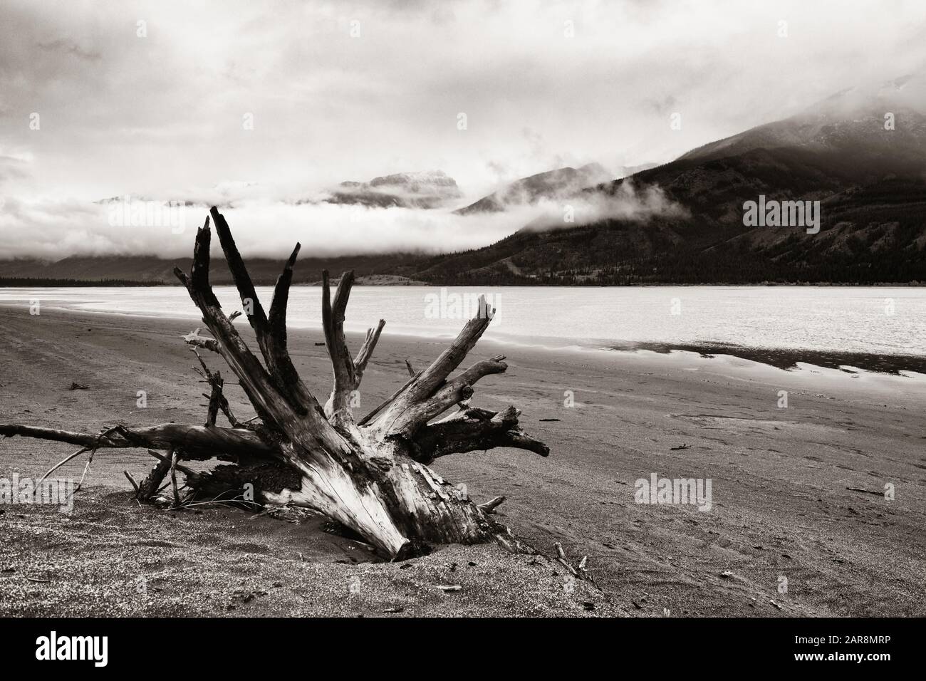 Belle scène dans le parc national Jasper au Canada Banque D'Images