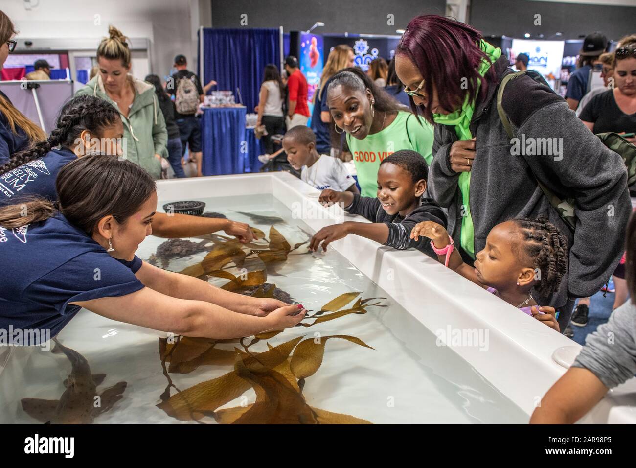 Les enfants et les parents africains américains bénéficient d'un réservoir de vie marine et de plantes en contact avec un salon de l'institut marin à Costa Mesa, CA. Banque D'Images