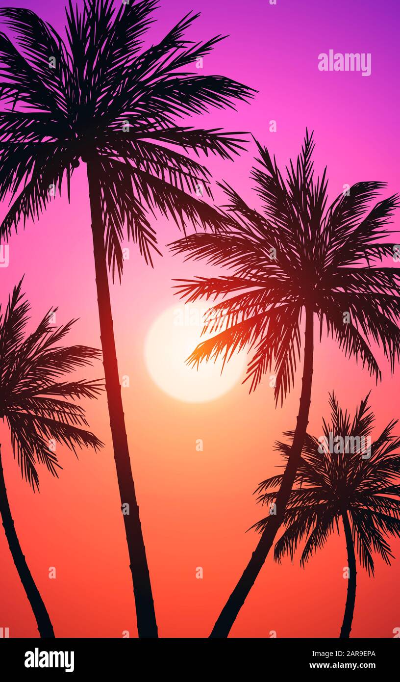 Naturel Coconut arbres montagnes horizon collines silhouettes d'arbres et de collines dans le soir lever du soleil et coucher du soleil papier peint paysage Illustration vecteur Illustration de Vecteur