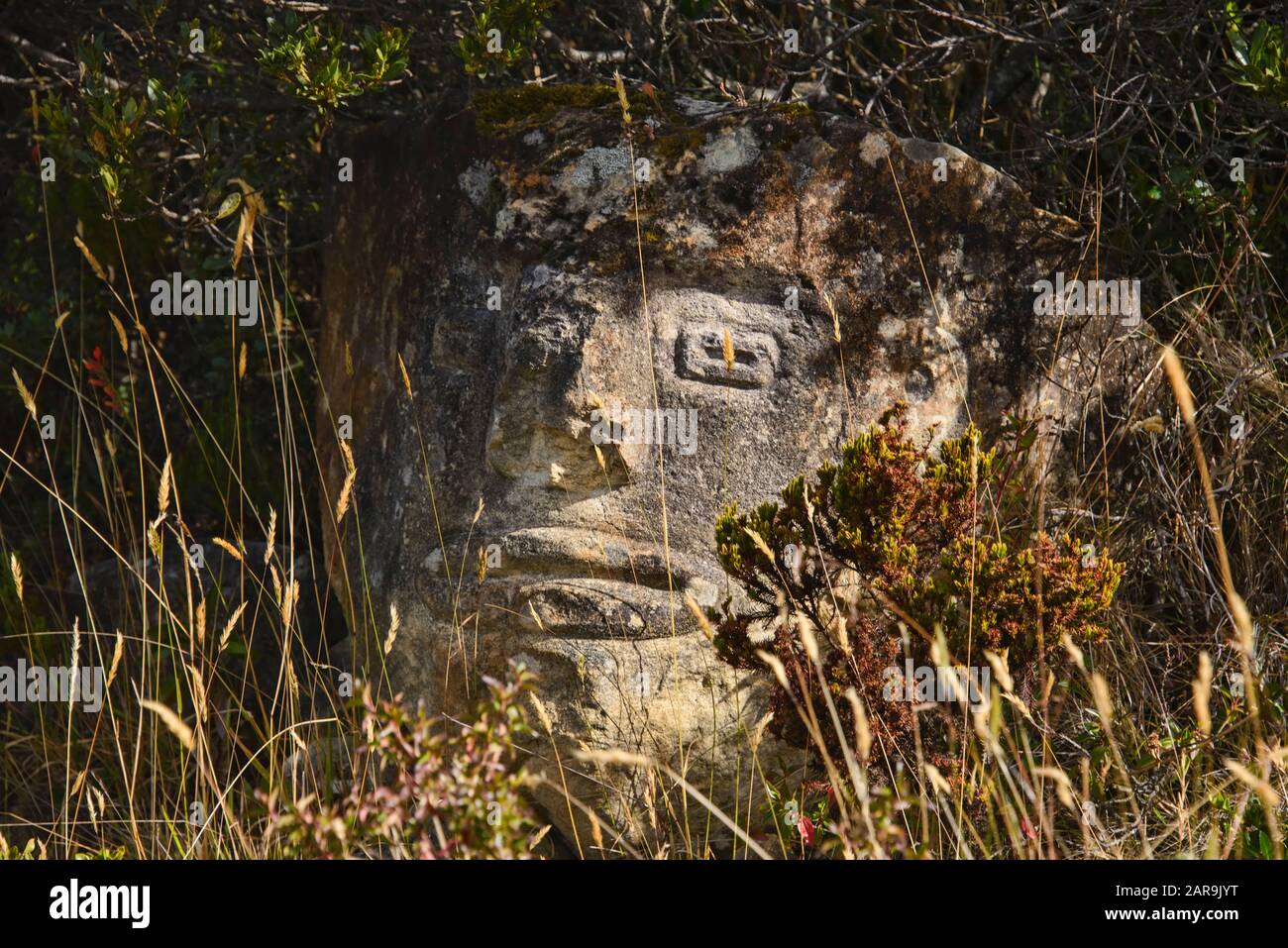 Muisca figure de pierre indigène sur le Páramo de Oceta trek, Monguí, Boyaca, Colombie Banque D'Images