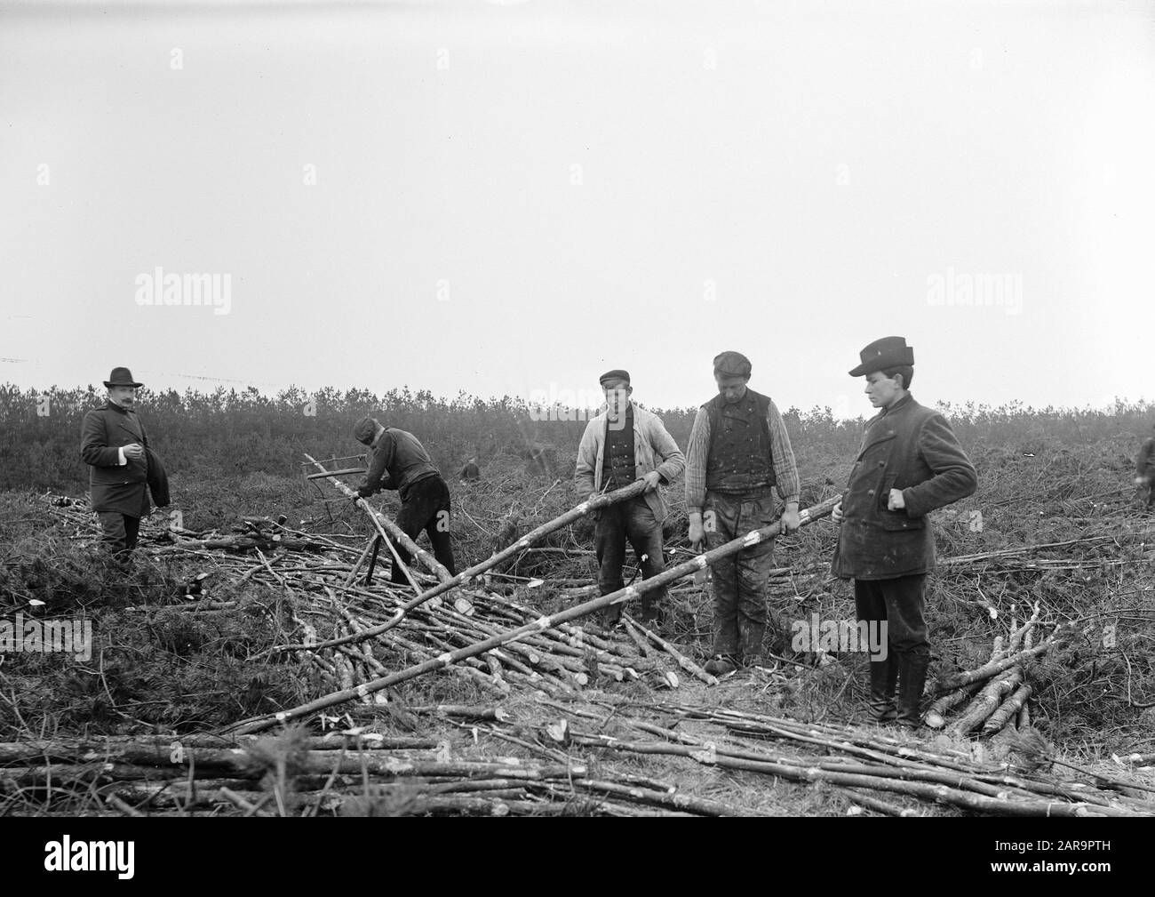 Décortiqué pour le tri de petits bois Date: Non daté mots clés: Travail du bois Banque D'Images