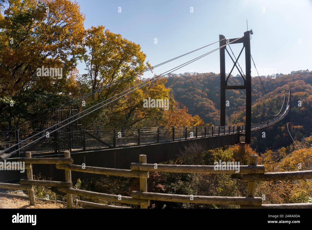 Osaka, Japon - 8 décembre 2019 : Pont suspendu entouré d'érables à Hoshi no Buranko, Hoshida, Katano, Osaka pendant le feuillage d'automne Banque D'Images
