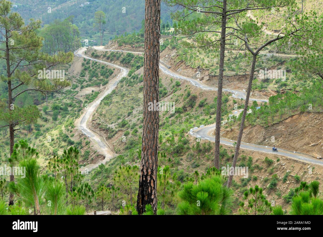 Routes sinueuses en épingle à cheveux, Papersali, Almora, Uttarakhand, Inde, Asie Banque D'Images