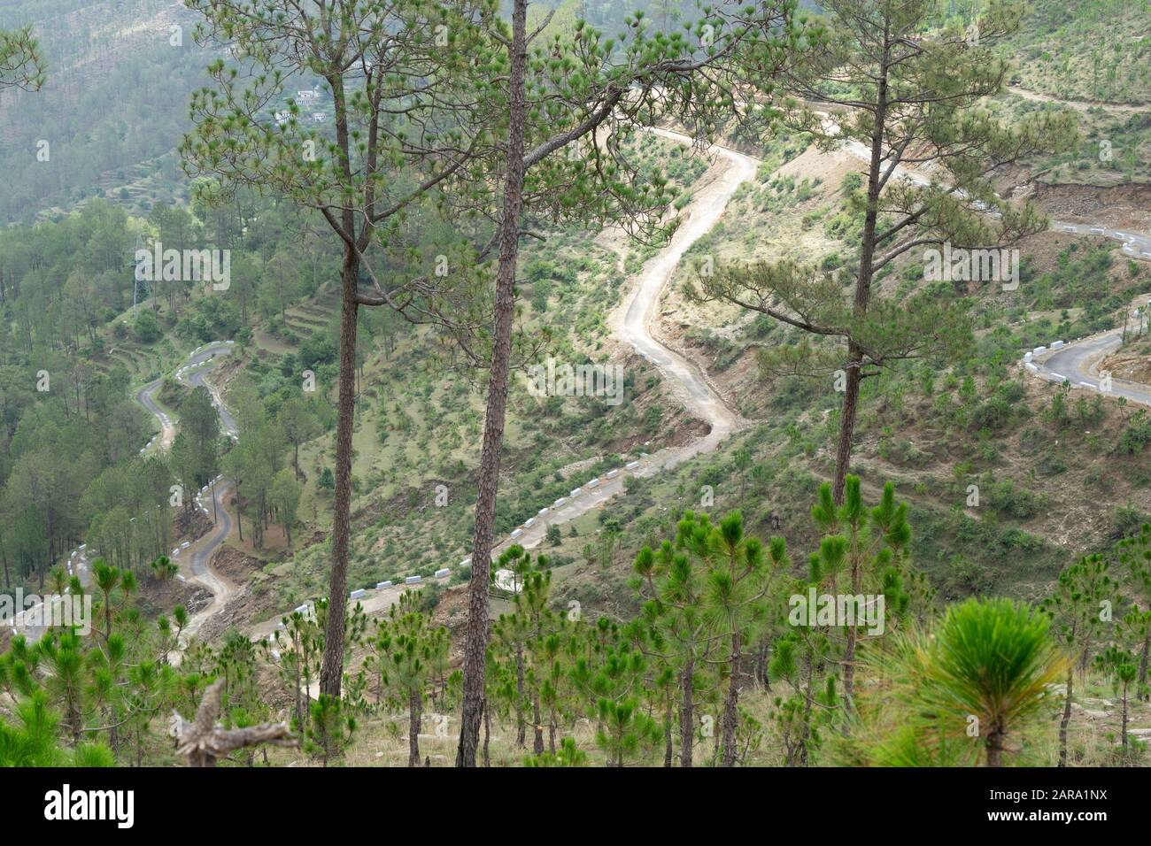 Routes sinueuses en épingle à cheveux, Papersali, Almora, Uttarakhand, Inde, Asie Banque D'Images