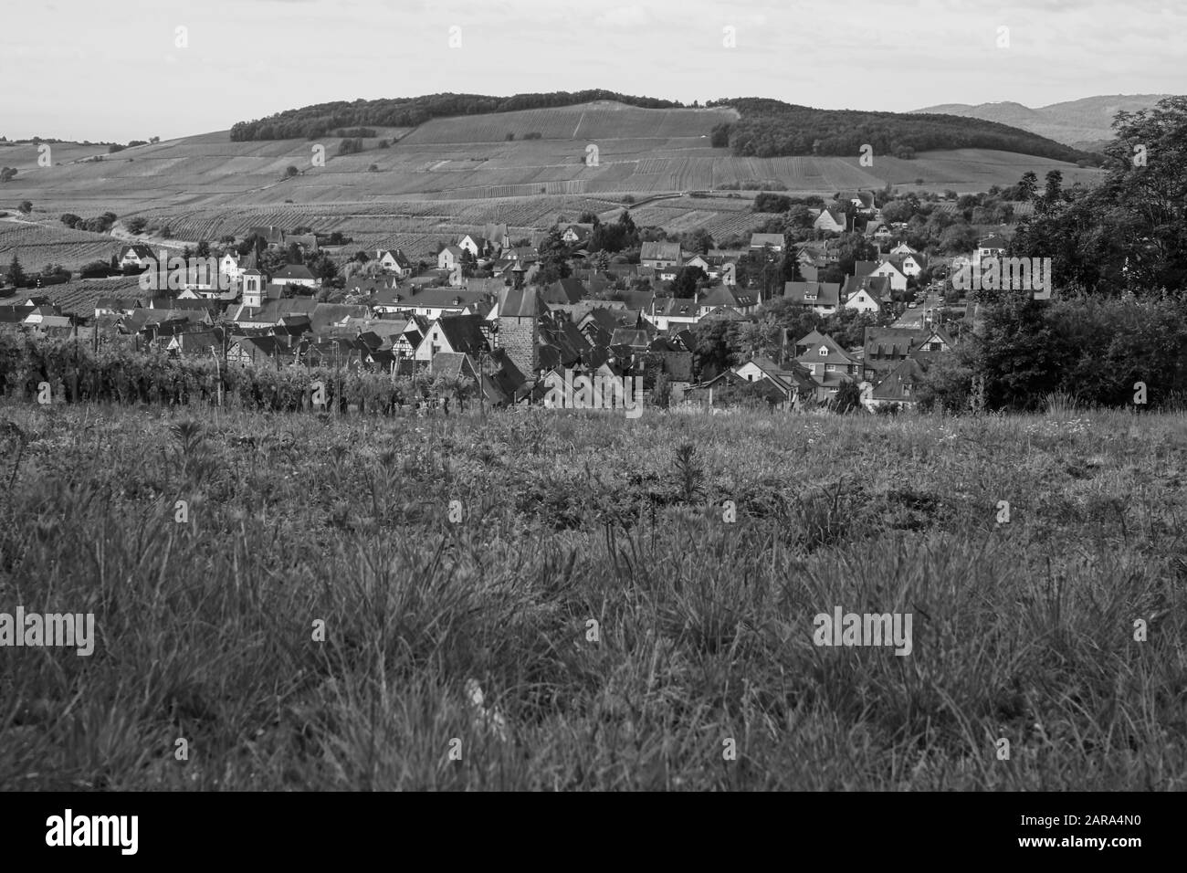 Antenne de petite ville, Maisons anciennes, Riquewihr, Alsace, France, Europe Banque D'Images