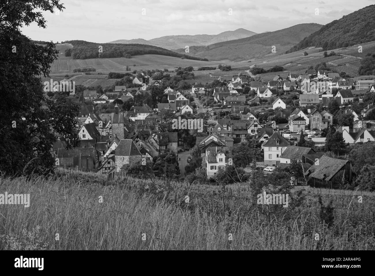 Antenne de petite ville, Maisons anciennes, Riquewihr, Alsace, France, Europe Banque D'Images