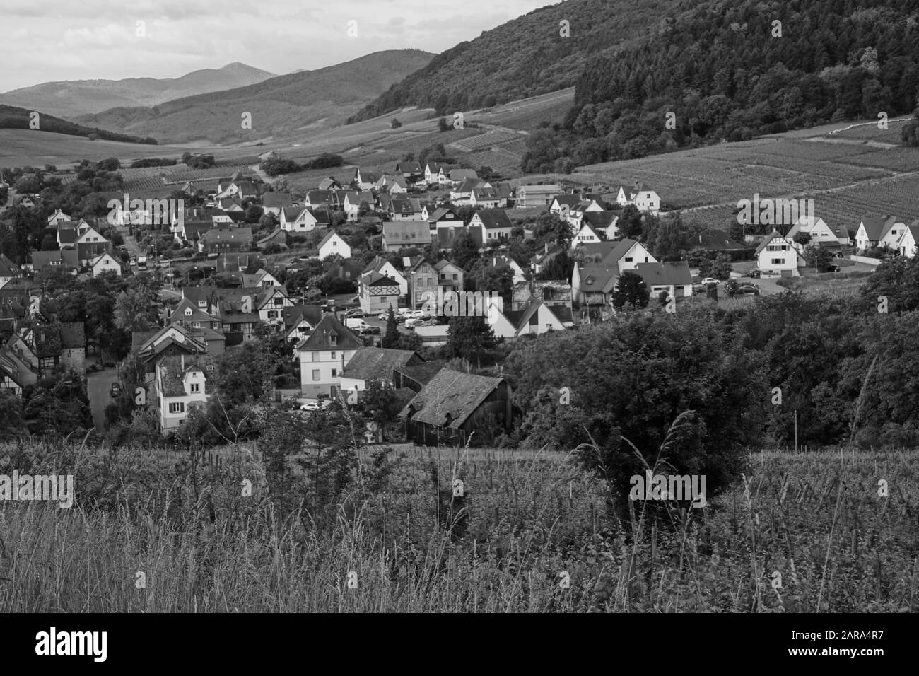 Antenne de petite ville, Maisons anciennes, Riquewihr, Alsace, France, Europe Banque D'Images