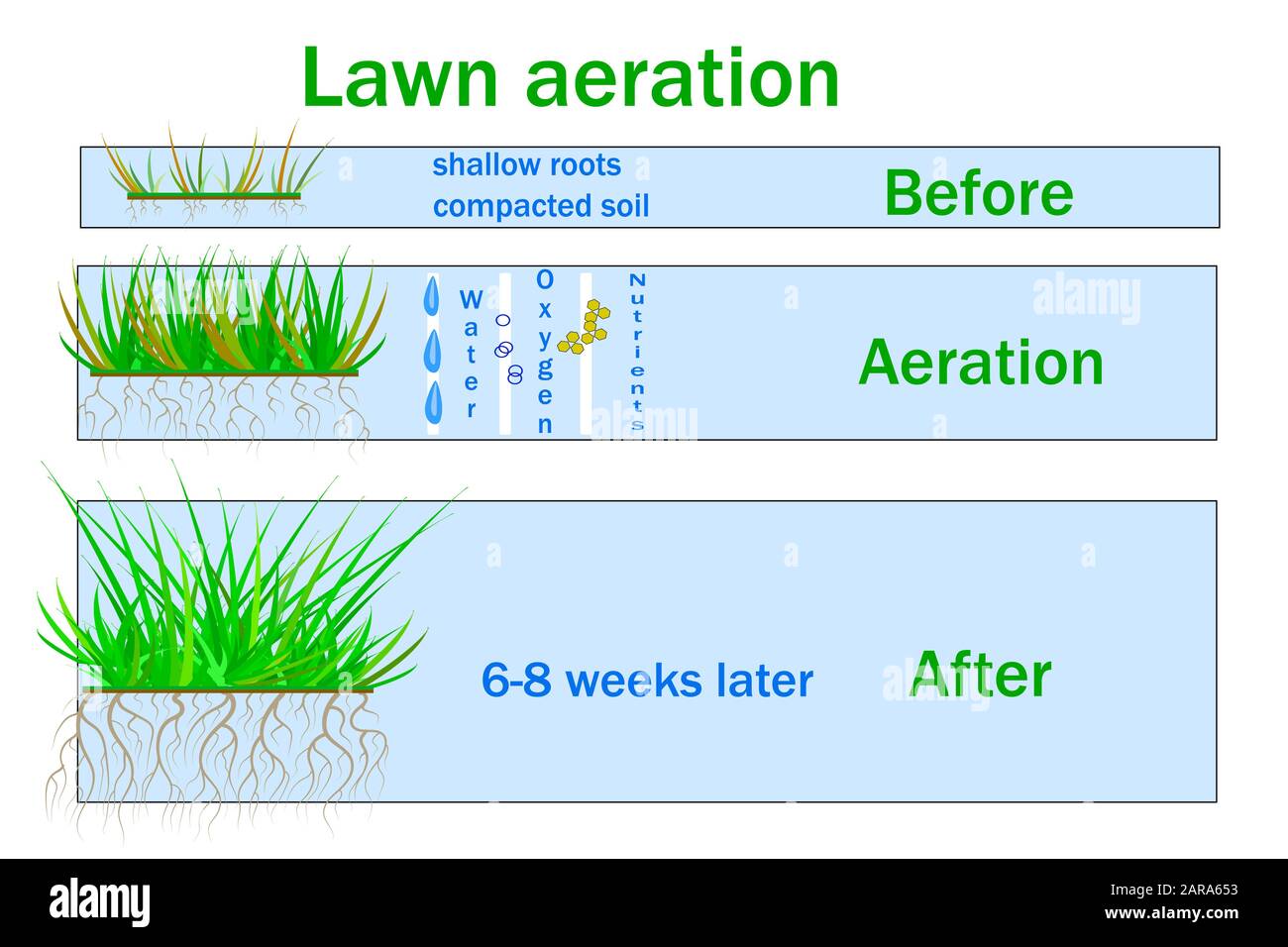 Aération des pelouses pour une croissance active des plantes. Accès gratuit à l'eau et à l'air du sol. Entretien des pelouses, services de conception de paysages. Infographies vectorielles Illustration de Vecteur