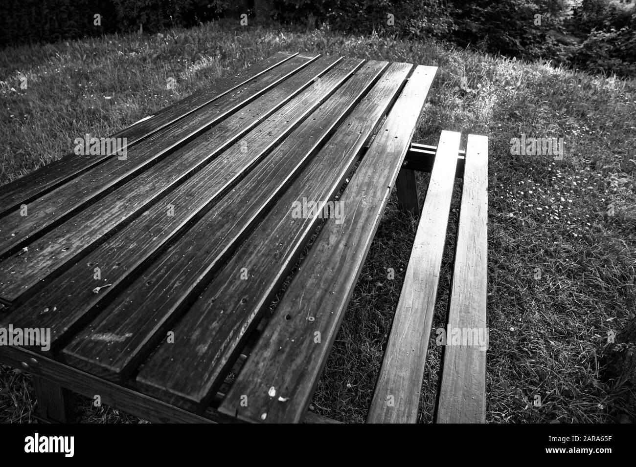 Banc En Bois, Storkensohn, Haut Rhin, Grand Est, France, Europe Banque D'Images