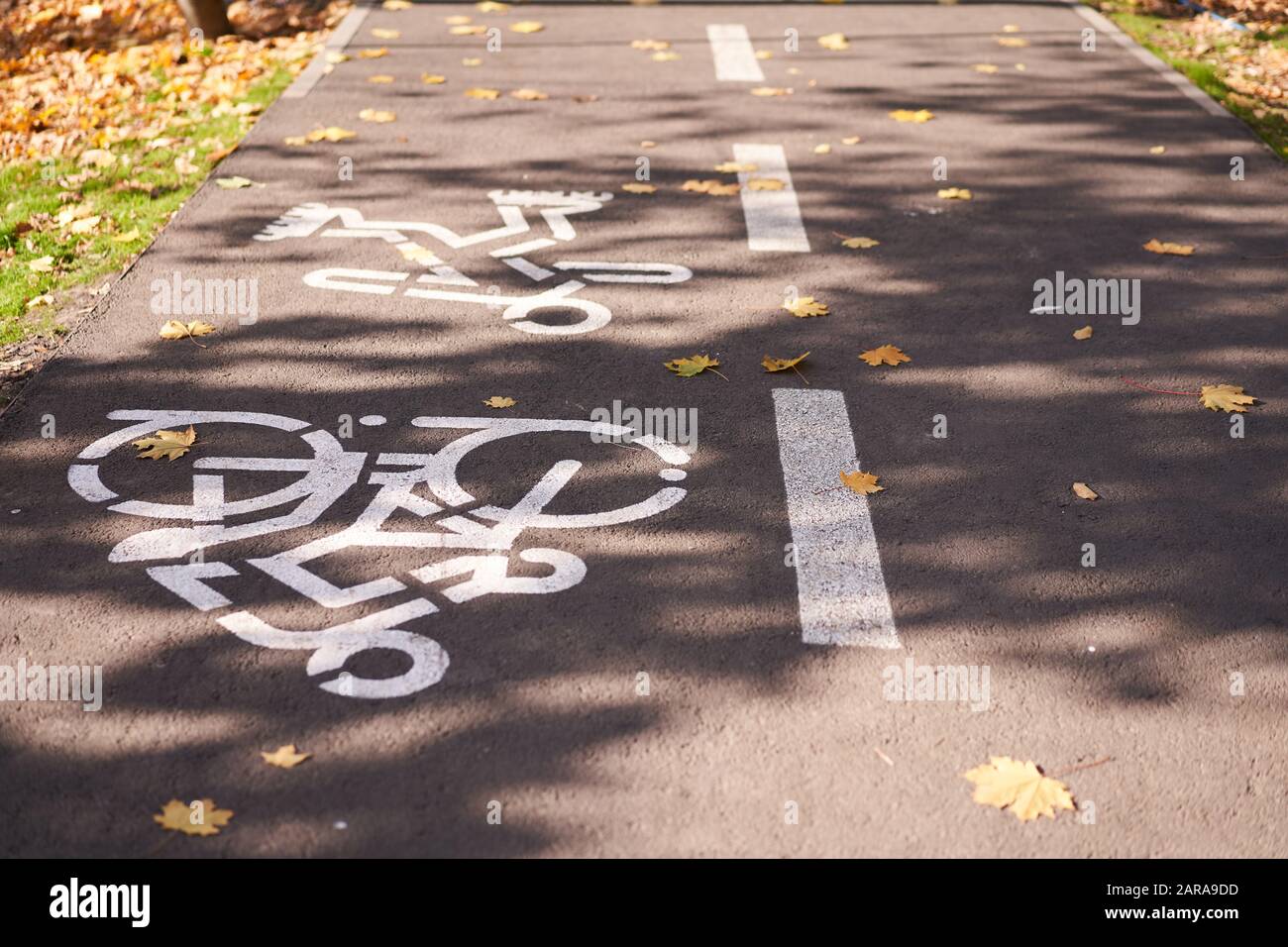 Un panneau pour cyclistes dessiné par peinture blanche sur une route dans un parc. Route pour les vélos et le jogging dans le parc de la ville à proximité Banque D'Images