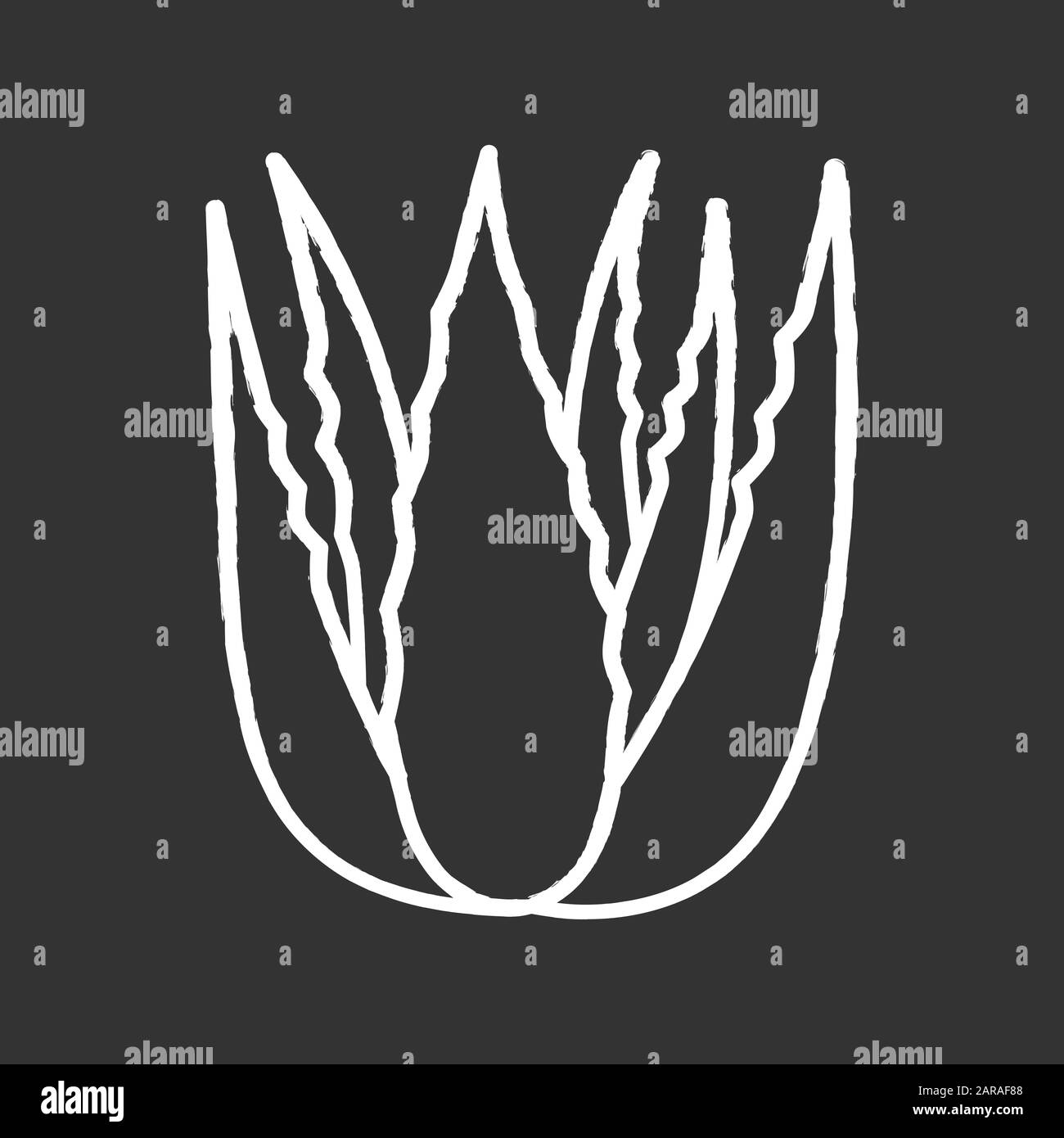 Craie craie rouge sur fond noir. Croissance de l'aloe vera. Feuilles de cactus et herbes médicinales. Plante décorative. Ingrédient pour les végan cos Illustration de Vecteur