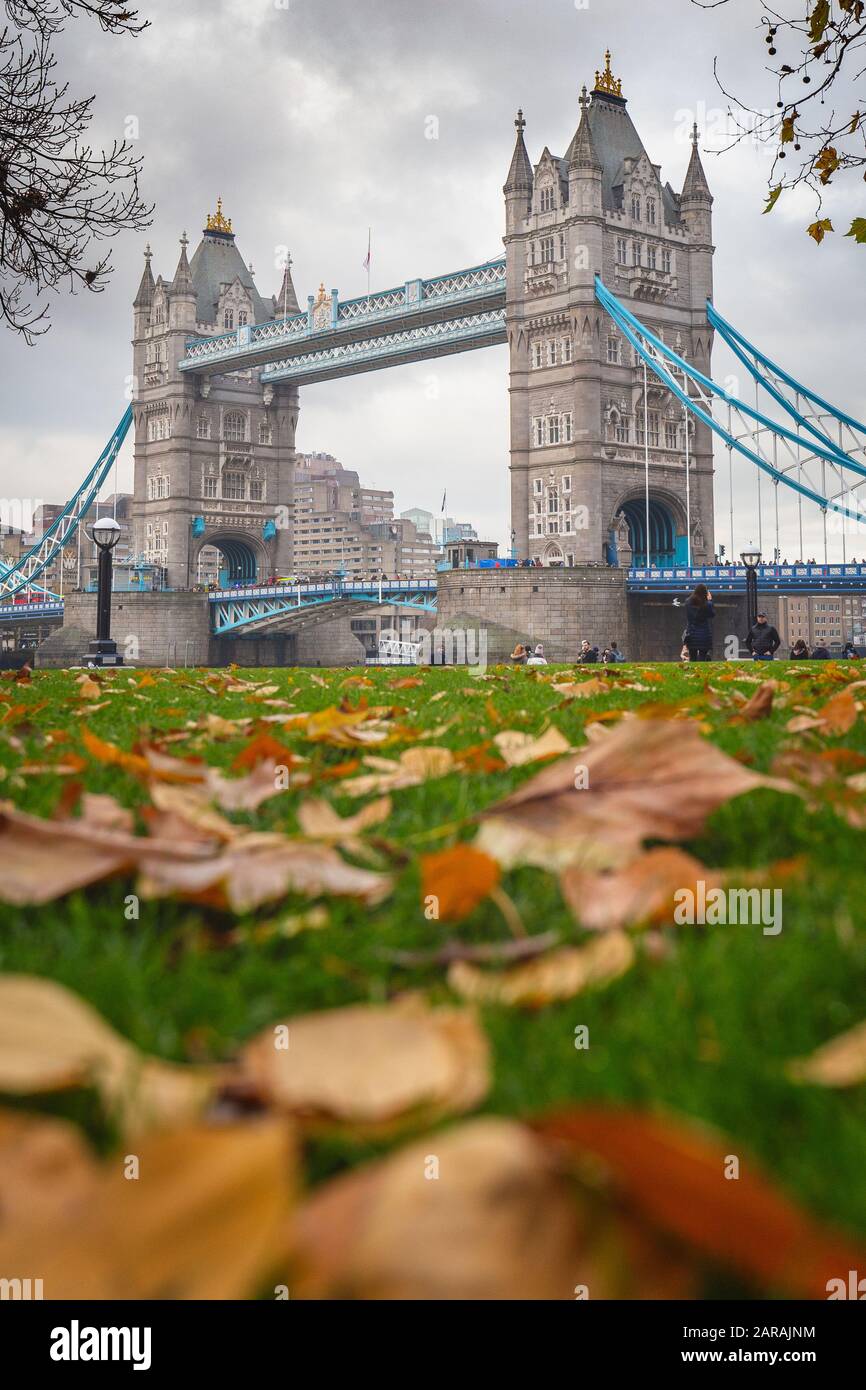 Londres, Angleterre - novembre 2019. Célèbre Tower Bridge en automne. Feuilles jaunes à la pelouse verte. Banque D'Images