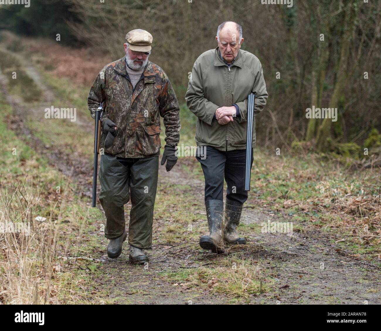 deux hommes avec des fusils de chasse sur une photo de faisan Banque D'Images