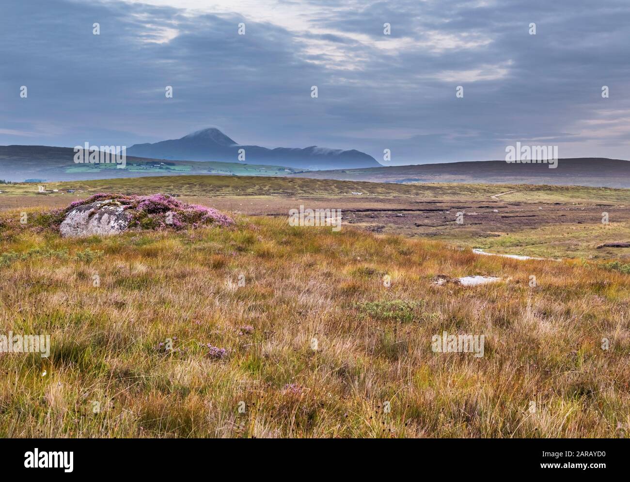 Vue sur la tourbière près de Killavally, comté de Mayo, vers la montagne de Croagh Patrick du quartzite silurien, un important lieu de pèlerinage chrétien en Irlande Banque D'Images