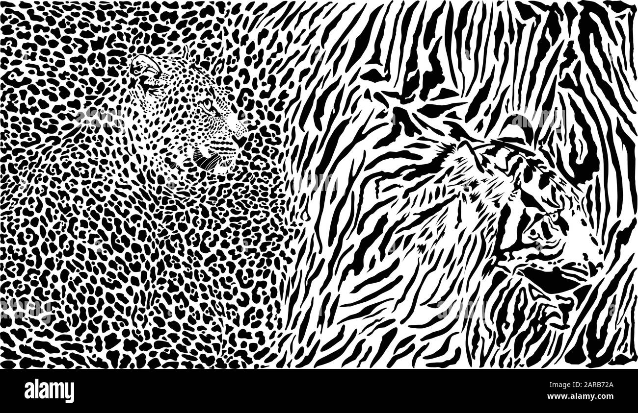 Leopard et tigre et motif de fond Illustration de Vecteur