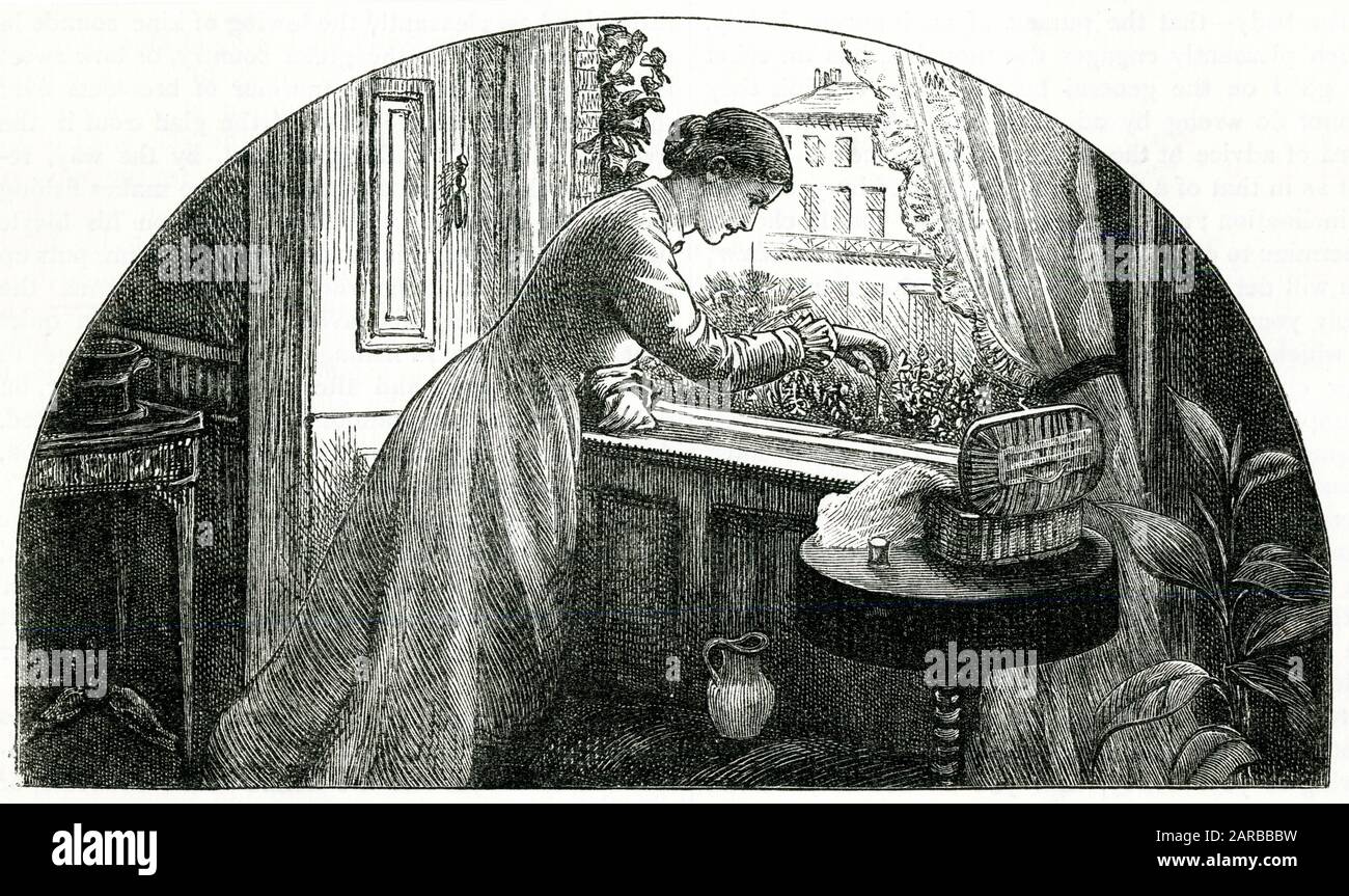 Une dame à une fenêtre ouverte, tendant les plantes dans sa boîte de fenêtre. Date : 1878 Banque D'Images