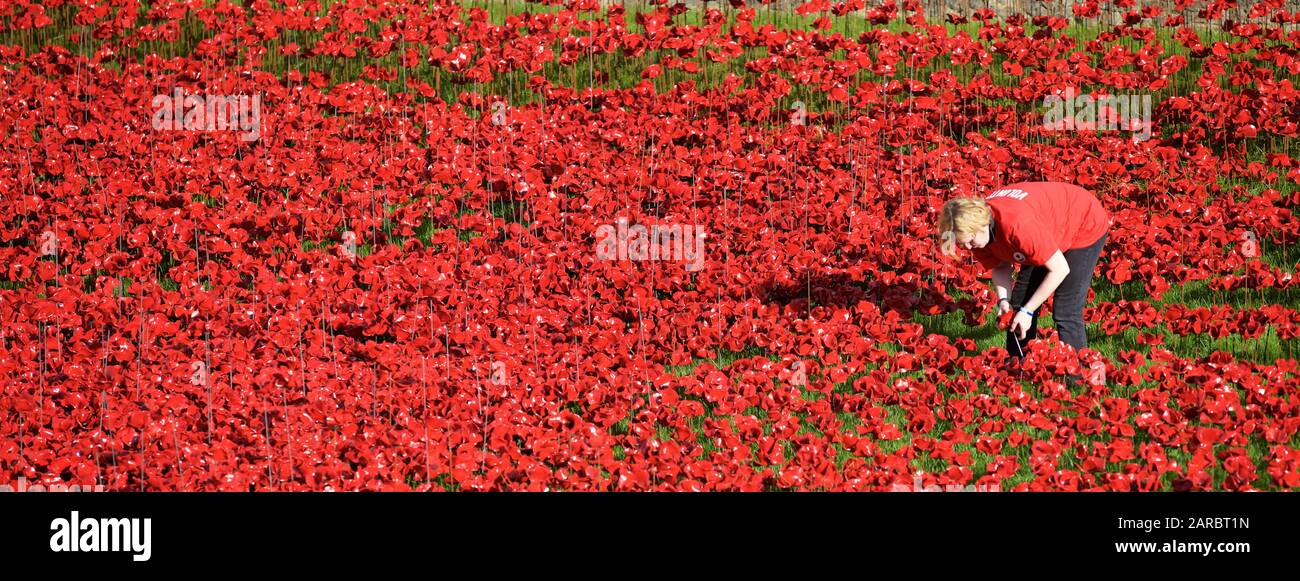 Les terres et les mers de sang ont balayé de rouge l'installation à la Tour de Londres marquant 100 ans depuis la 1ère guerre mondiale. Banque D'Images