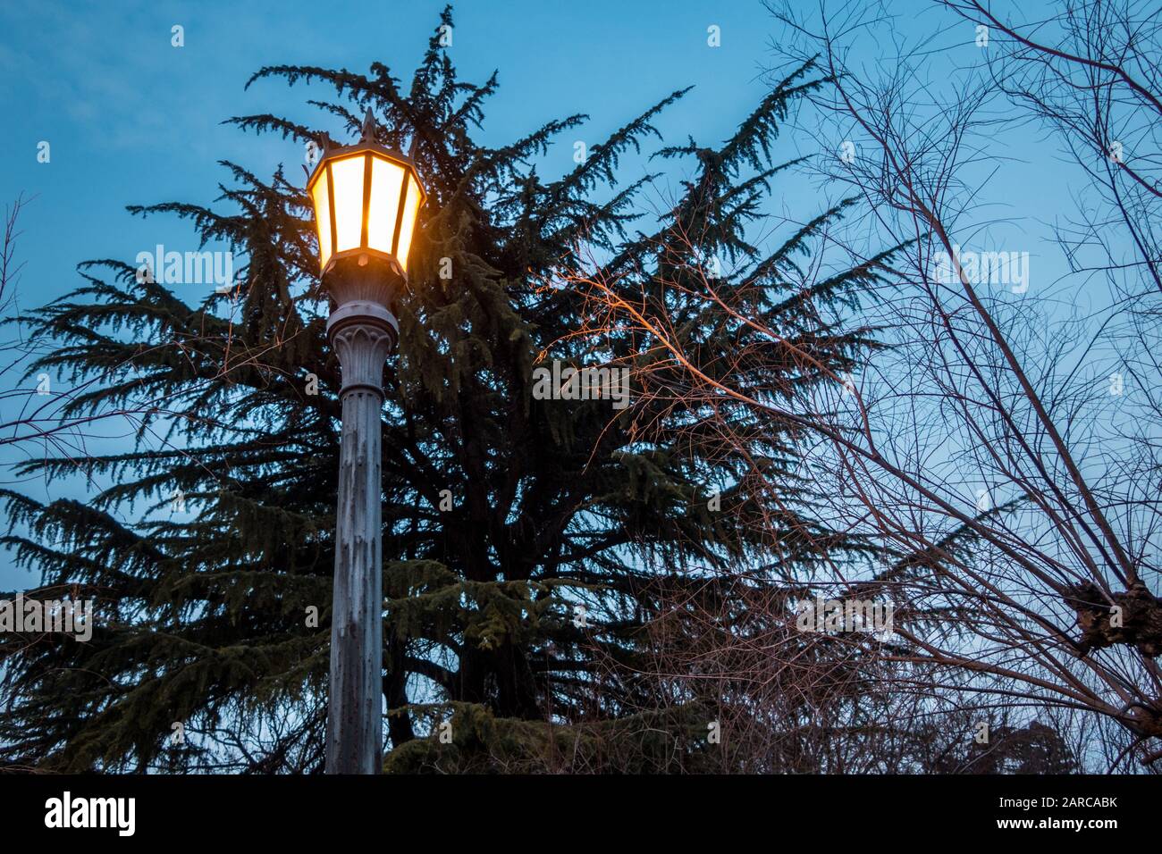 Photo à angle bas d'une lampe de rue avec lumière et arbres en arrière-plan Banque D'Images