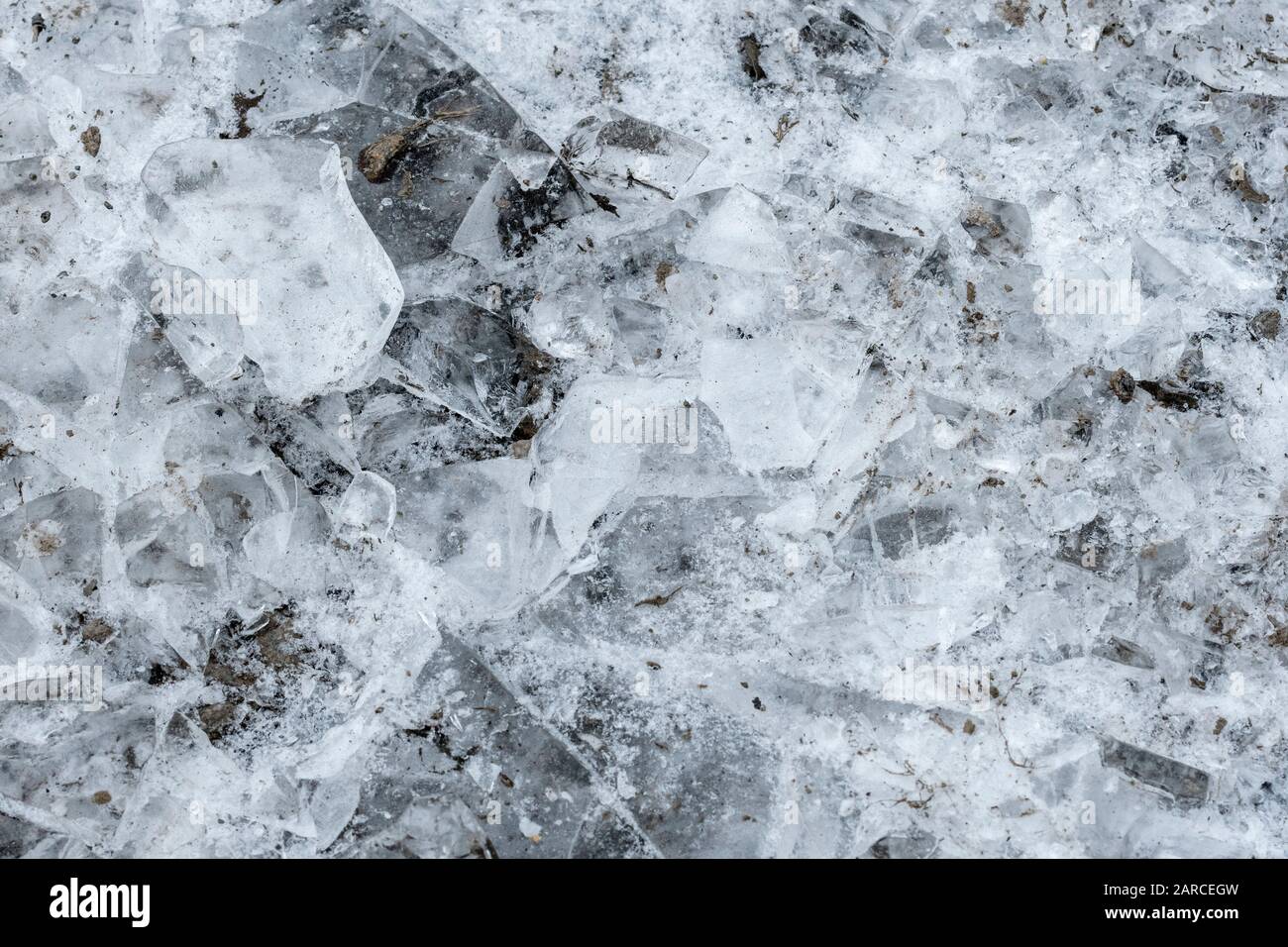 Une flaque d'eau dans le champ surgelé/glacé pendant une période de froid difficile. Banque D'Images