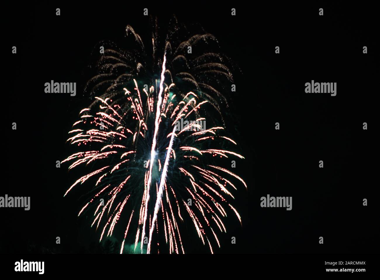 Feux D'Artifice Du Carnaval D'Hiver Banque D'Images