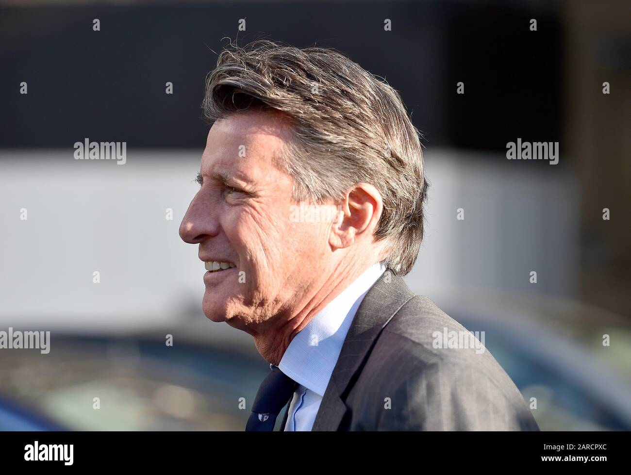 Lord Sebastian Cie à l'extérieur des Chambres du Parlement à Londres. Photo PA. Date De L'Image: Mardi 21 Janvier 2020. Crédit photo devrait lire: Nick Ansell/PA Wire Banque D'Images