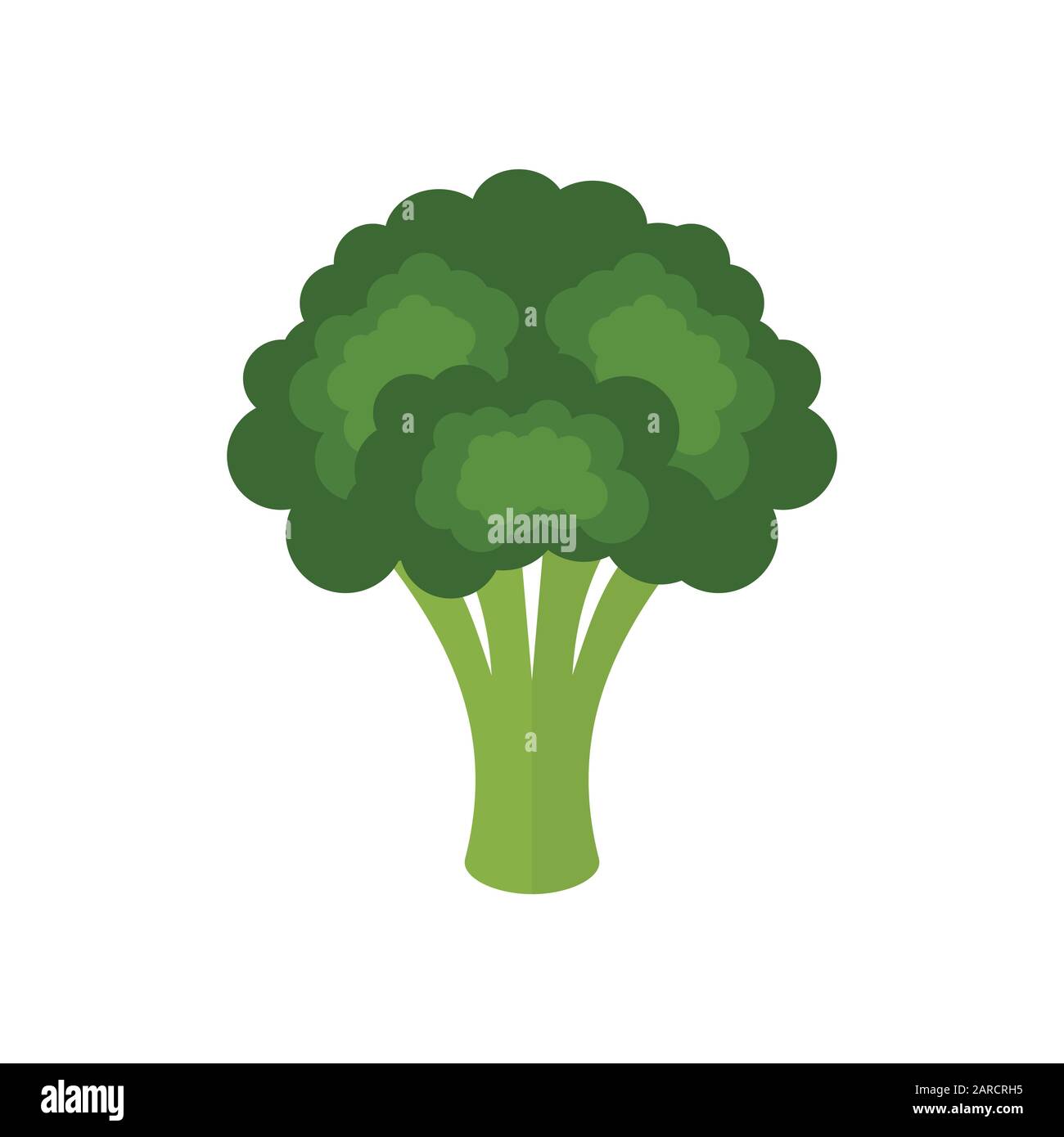 Légumes verts frais brocoli isolés sur fond blanc. Icône brocoli. Brocoli coloré de dessin animé. Des aliments sains. Brassica oleracea var. Italica Illustration de Vecteur