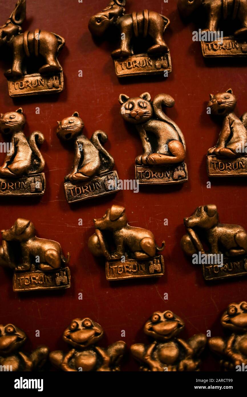 Gros Plan Des Aimants De Refrigerateur Figurines Brunes D Un Chat Chien Grenouille Avec Les Mots Torun Photo Stock Alamy