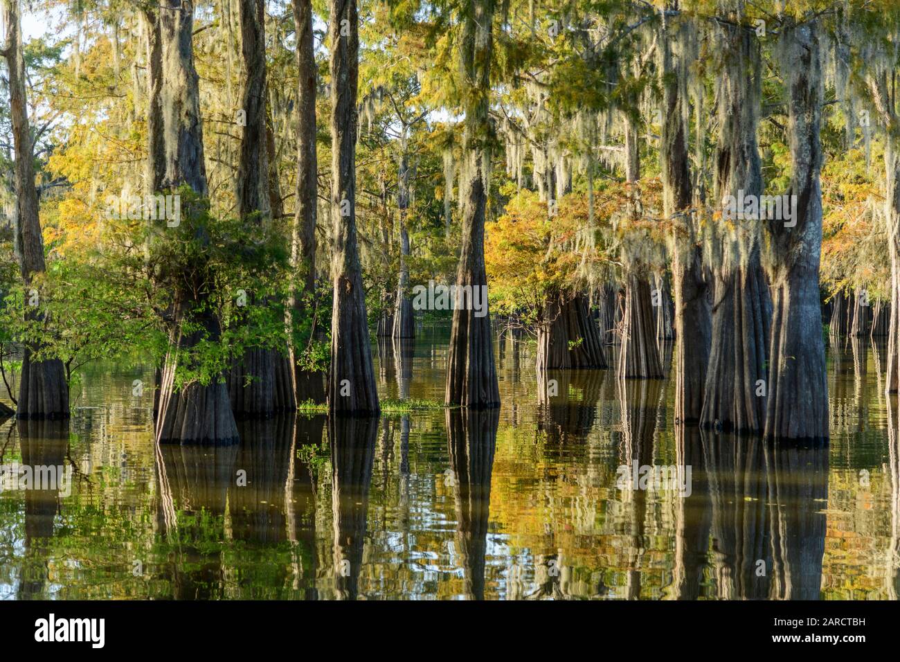 États-Unis, Deep South, Louisiane, Henderson, Bassin D'Attachalaya Banque D'Images