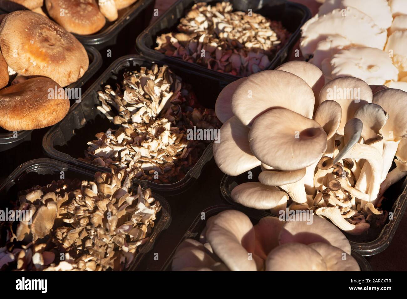 Variété de champignons frais sur un marché extérieur Banque D'Images