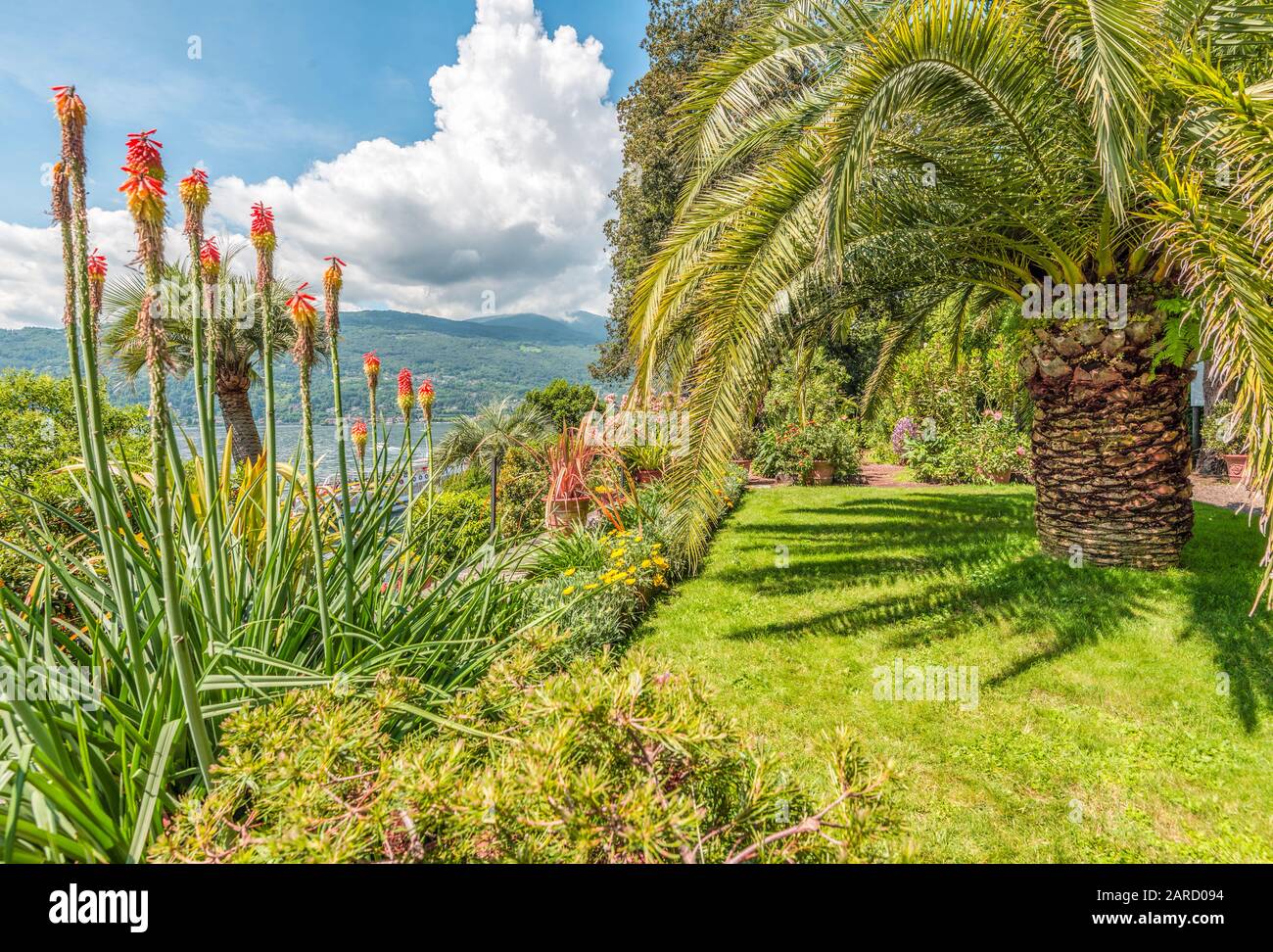 Jardin Du Palazzo Madre À Isola Madre, Lago Maggiore, Piémont, Italie Banque D'Images