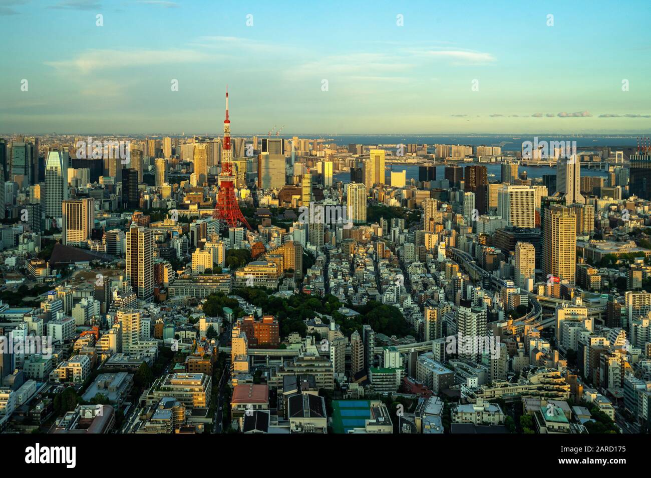 Belle vue aérienne de Tokyo au coucher du soleil vue depuis la terrasse d'observation de la tour Mori, Japon Banque D'Images