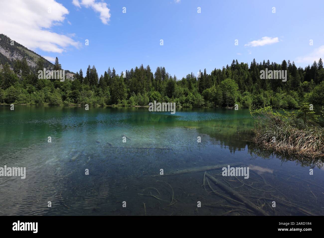 Lac de montagne Crestasee près du village de Flims, Suisse Banque D'Images