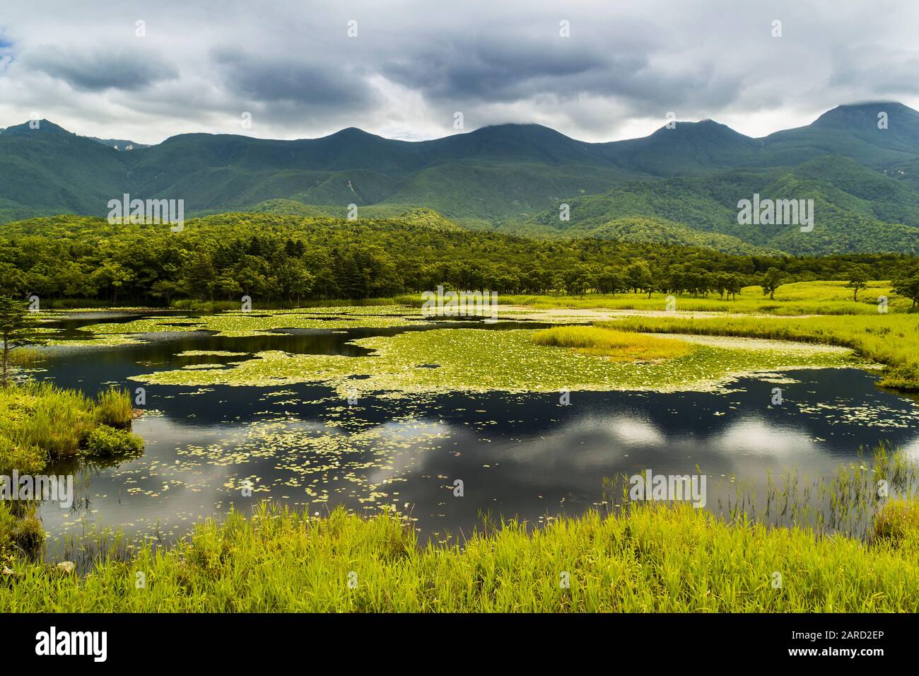 Cinq lacs de Shiretoko, Hokkaido Banque D'Images