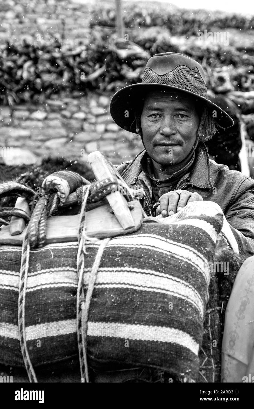 Portrait noir et blanc de l'homme népalais chargé d'un yak dans la région de Dolpo au Népal Banque D'Images