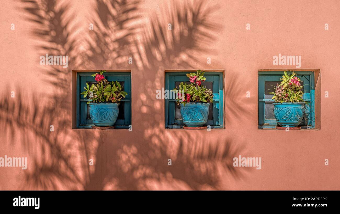 Trois pots de fleurs avec azalées rouges dans des niches dans un mur et l'ombre d'un arbre de plam, Egypte, 12 janvier 2020 Banque D'Images