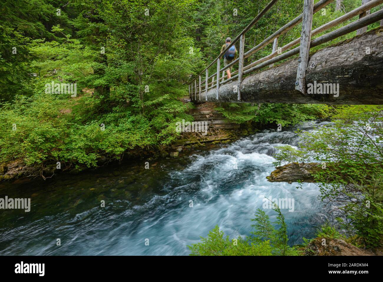 Randonneur sur le pont au-dessus de la rivière sur le sentier récréatif national de la rivière McKenzie, Willamette National Forest, Oregon. Banque D'Images