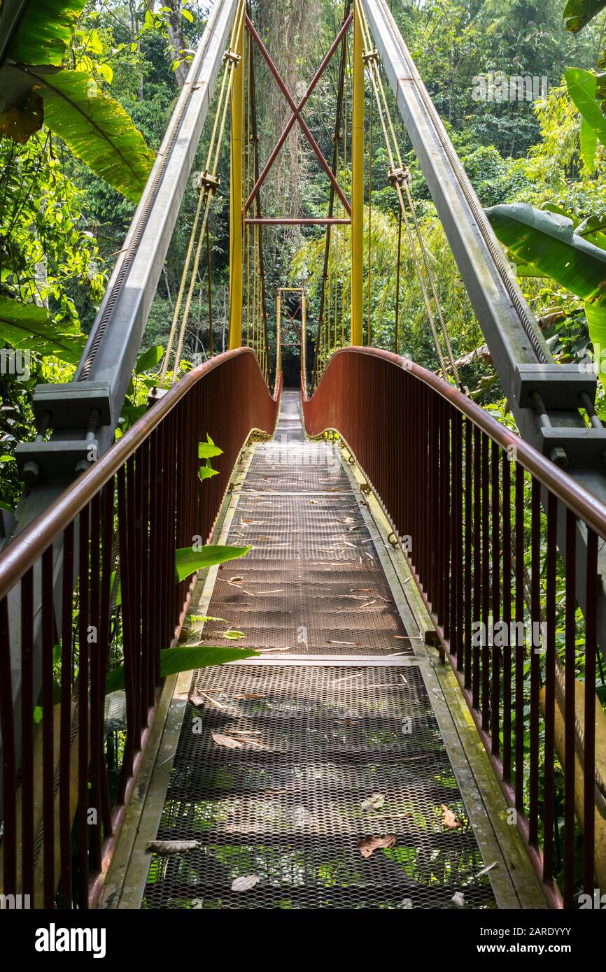 Pont de suspension. Le jardin botanique Quindío est un centre de recherche scientifique et d'éducation environnementale situé dans la ville de Calarcá Banque D'Images