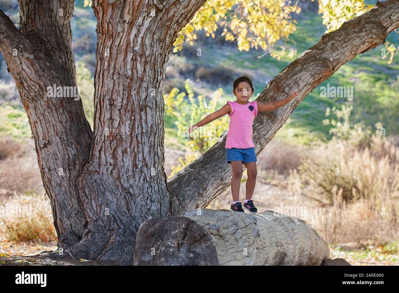 Une petite fille garante de marcher sur un bois de bois avec ses bras étirés pour obtenir son équilibre. Banque D'Images