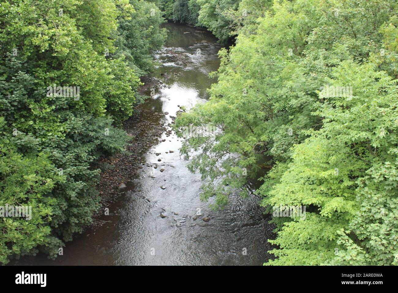 Rivière Kelvin pas de ciel Banque D'Images
