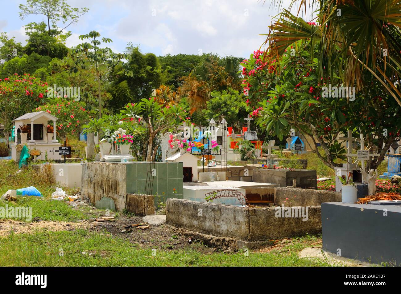 Des fleurs aux couleurs vives ornent les arbres et les tombes d'un grand cimetière près de Kohunlich, au Mexique, sous un ciel bleu pâle. Banque D'Images